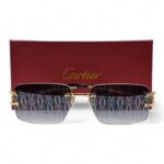 Cartier Luxury Sunglasses